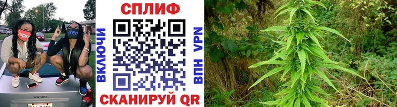 Каннабис LSD WEED  Купить где  Радужный 